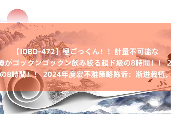 【IDBD-472】極ごっくん！！計量不可能な爆量ザーメンをS級女優がゴックンゴックン飲み絞る超ド級の8時間！！ 2024年度宏不雅策略陈诉：渐进栽植，以质解围