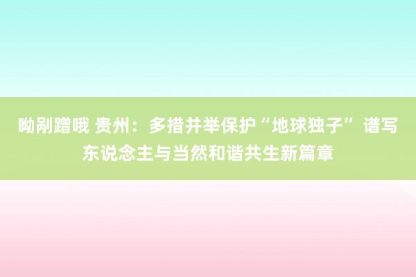 呦剐蹭哦 贵州：多措并举保护“地球独子” 谱写东说念主与当然和谐共生新篇章