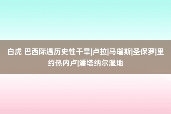 白虎 巴西际遇历史性干旱|卢拉|马瑙斯|圣保罗|里约热内卢|潘塔纳尔湿地