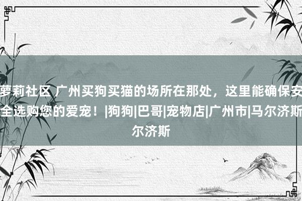 萝莉社区 广州买狗买猫的场所在那处，这里能确保安全选购您的爱宠！|狗狗|巴哥|宠物店|广州市|马尔济斯