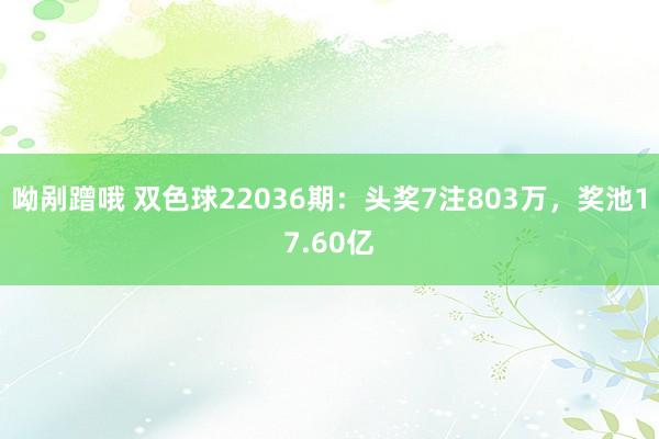 呦剐蹭哦 双色球22036期：头奖7注803万，奖池17.60亿